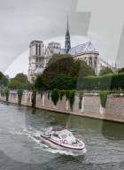 FEATURE - Notre Dame in Paris