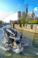 FEATURE - Notre Dame in Paris