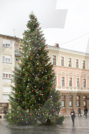 FEATURE - Es weihnachtet *