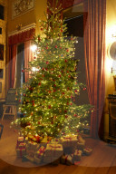 FEATURE - Es weihnachtet *
