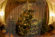 FEATURE - Es weihnachtet *