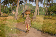 REPORTAGE - Projekt 'Brides Of The Sun'