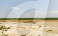REPORTAGE - Projekt 'Brides Of The Sun'