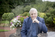 PORTRAIT - Sir David Attenborough