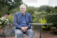 PORTRAIT - Sir David Attenborough