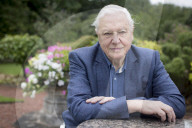 PORTRAIT - Sir David Attenborough