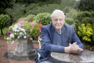 PORTRAIT - Sir David Attenborough