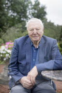 PORTRAIT - Sir David Attenborough