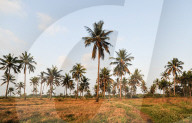 REPORTAGE - Projekt 'Brides Of The Sun'
