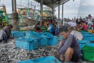 REPORTAGE - Malaysia: Strassenkinder in Kota Kinabalu