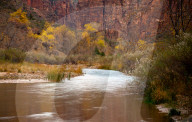 FEATURE - Herbstliche Farben im Zion National Park in Springdale