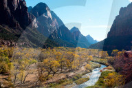 FEATURE - Herbstliche Farben im Zion National Park in Springdale
