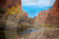 FEATURE - Herbstliche Farben im Zion National Park in Springdale