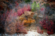 FEATURE - Herbstliche Farben im Zion National Park in Springdale