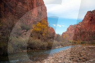FEATURE - Herbstliche Farben im Zion National Park in Springdale