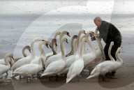 FEATURE - Pix of the Day: Die Bilder des Tages