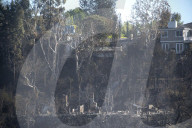 NEWS - USA: Waldbrände in Kalifornien