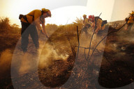 NEWS - USA: Waldbrände in Kalifornien