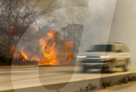 NEWS - USA: Waldbrände in Kalifornien