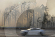 NEWS - USA: Waldbrände in Kalifornien