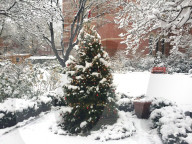FEATURE - Erster Schneefall in New York