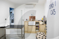 PORTRAIT - London: Moderne Tierklinik in Camberwell