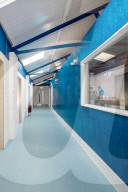 PORTRAIT - London: Moderne Tierklinik in Camberwell