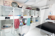 PORTRAIT - London: Moderne Tierklinik in Camberwell