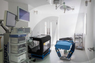 PORTRAIT - London: Moderne Tierklinik in Camberwell