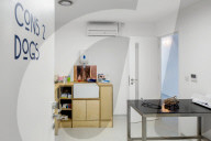 PORTRAIT - London: Moderne Tierklinik in Camberwell