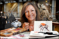 STUDIO - Shevaun Doherty