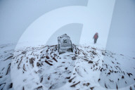 FEATURE - Die besten Bilder des Wochenendes