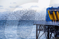 FEATURE - Die besten Bilder des Wochenendes