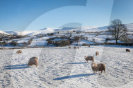 FEATURE - Schnee im Brecon Beacons National Park in Wales
