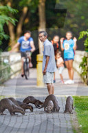 FEATURE - Jahresrückblick 2017: Otterfamilie in Singapur
