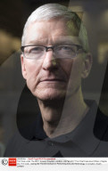 PORTRAIT - Tim Cook