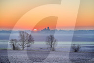 FEATURE - Best of: Bilder des Tages