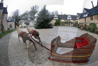 FEATURE - Es weihnachtet