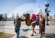 FEATURE - Es weihnachtet