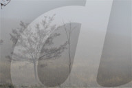NEWS - Starker Nebel in Ankara