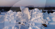 FEATURE - Best of - Bilder des Tages