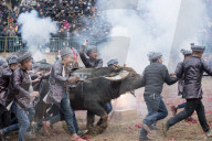 FEATURE - Best of: Bilder des Tages
