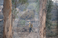 NEWS - Waldbrände in Kalifornien: Promi-Ort Montecito muss evakuiert werden