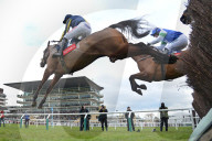 FEATURE - Pix of the Day: Bilder des Tages