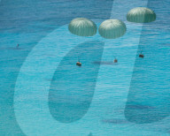 FEATURE - Pix of the Day: Bilder des Tages