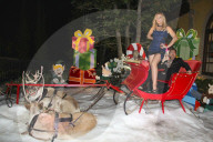 FEATURE - Es Weihnachtet