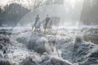 FEATURE - Pix of the Day: Die Bilder des Tages