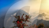 FEATURE - Pix of the Day: Die Bilder des Tages