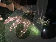 FEATURE - Es Weihnachtet