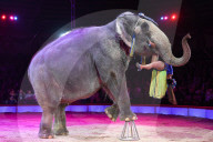 PEOPLE - Zirkus Krone Weihnachtspremiere in München